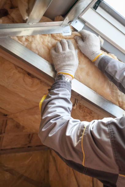 Best Insulation Materials and Products in Treasure Island, FL