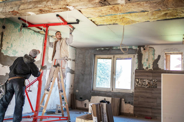 Best Insulation Maintenance and Repair in Treasure Island, FL